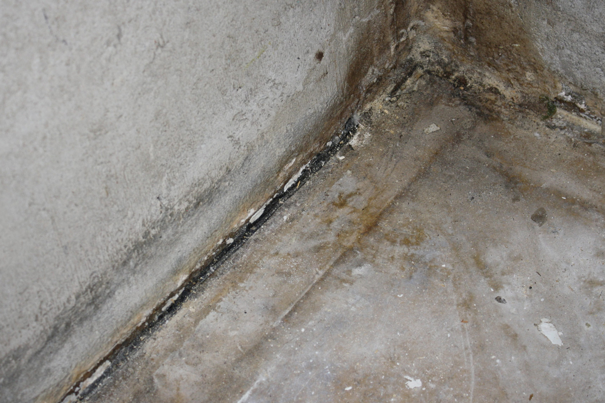 Basement-Leaks-Why-they-happen-and-what-to-do-when-your-basemens-leaking-main.jpg