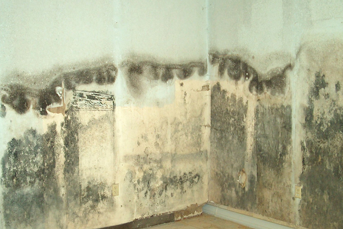 Waterproofing basement walls makes health sense - Got Water in your ...